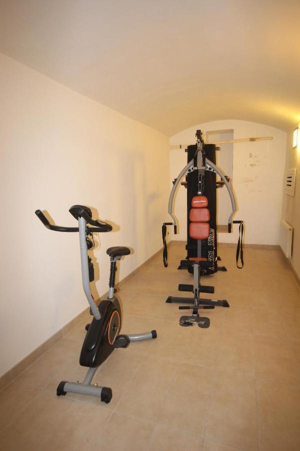 Apartment Vikroria - Halkova 5 Praga Zewnętrze zdjęcie